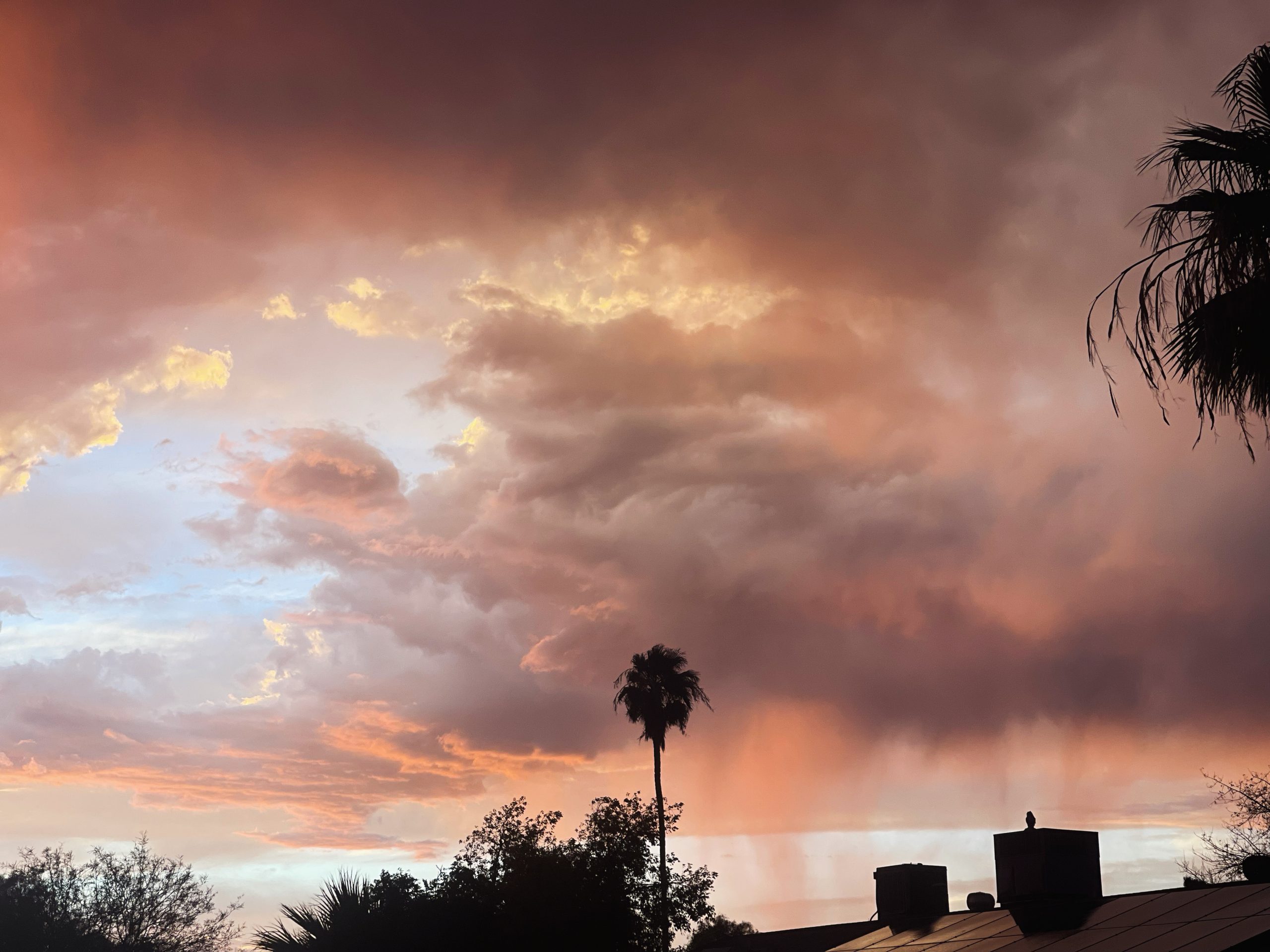 Starting From Scratch…